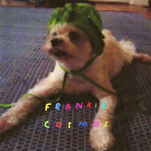 Frankie Cosmos / Zentropy（1000 Ltd LP）