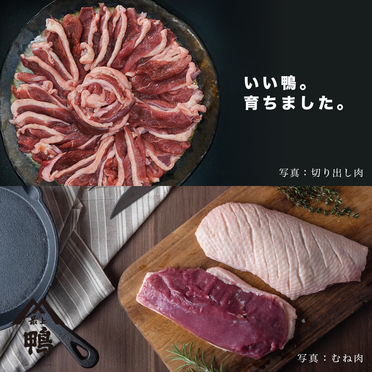 f1aba478f5270dc92afd9477979120