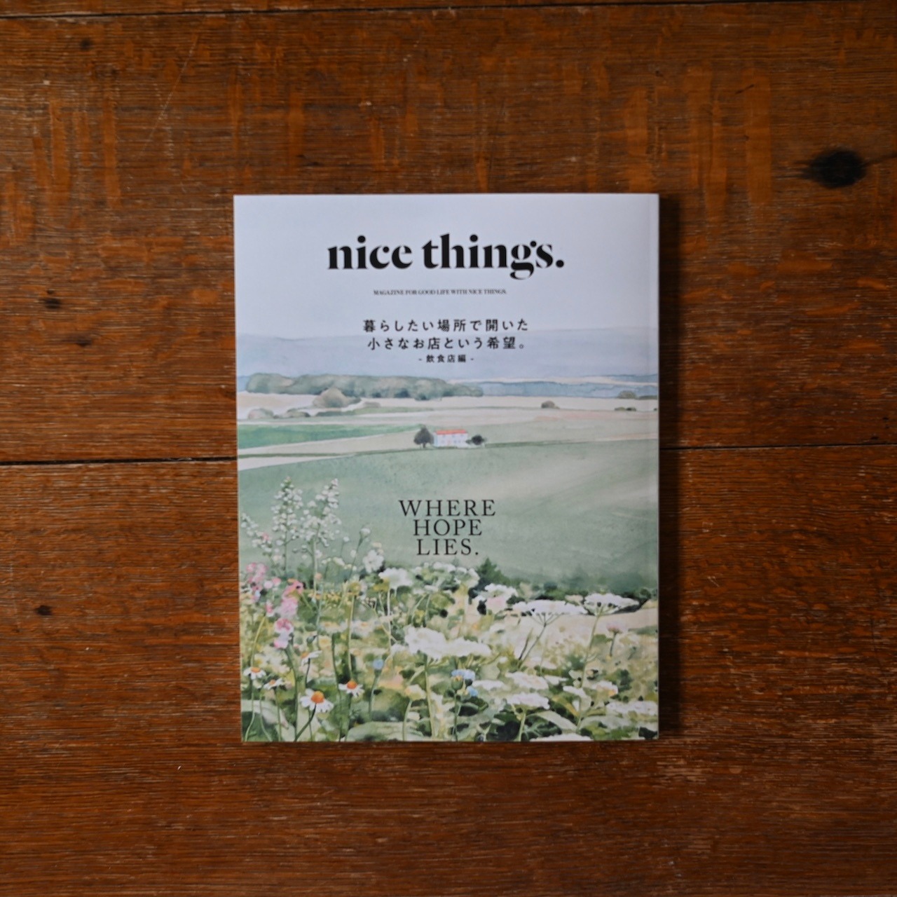 雑誌 nice things. issue.85【暮らしたい場所で開いた小さなお店という希望。- 飲食店編- WHERE HOPE LIES.】