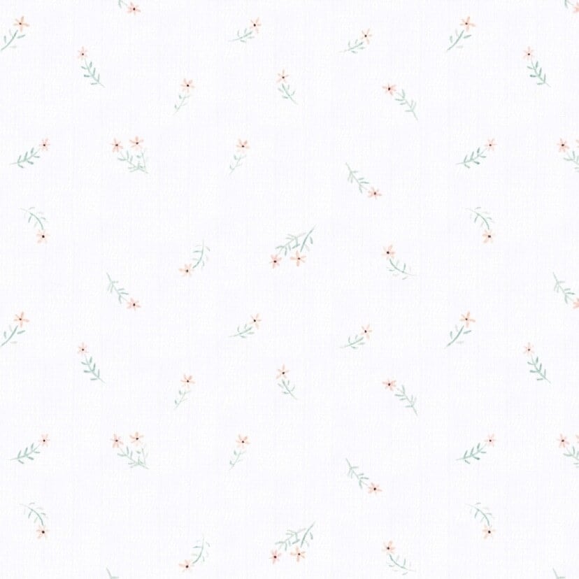 aden ₊ anais スワドル/ブラッシングバニーズ/2枚