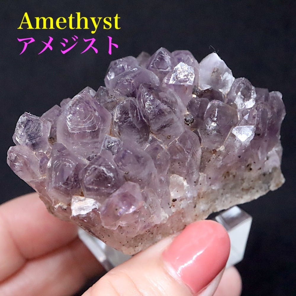 SALE※ スモーキー クォーツ on 珪化木 煙水晶 301g SQZ078 鉱物 原石