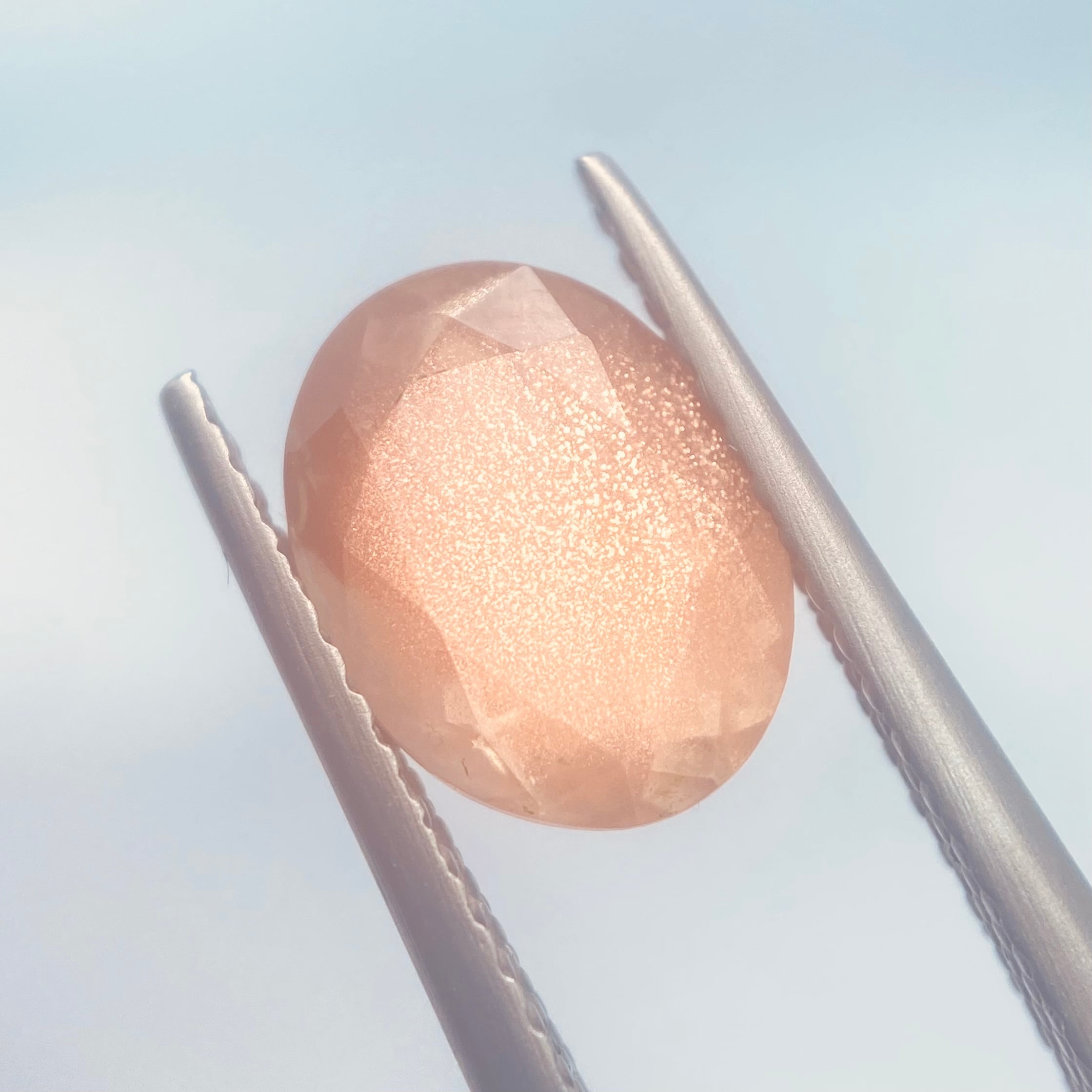 春爛漫　オレゴンサンストーン