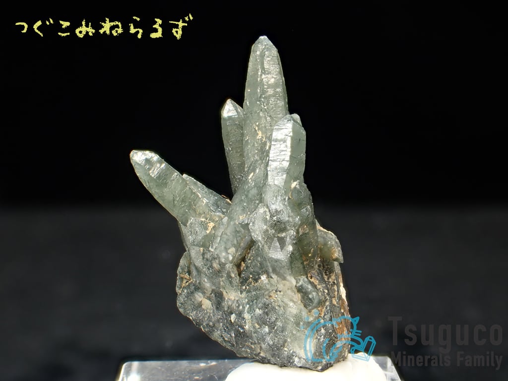 プレーズ・クォーツ 石英 緑水晶 Prase Quartz ギリシャ TM-0025