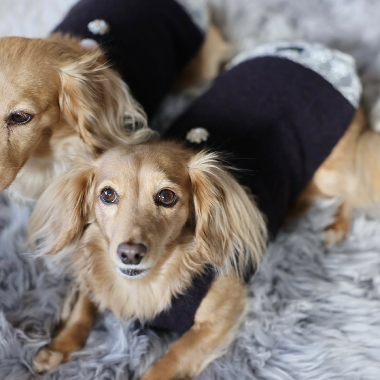 ラムピノクチュール ボアジャンパースカート ネイビー ボアジャンパースカート | カニンヘンダックスとミニチュア