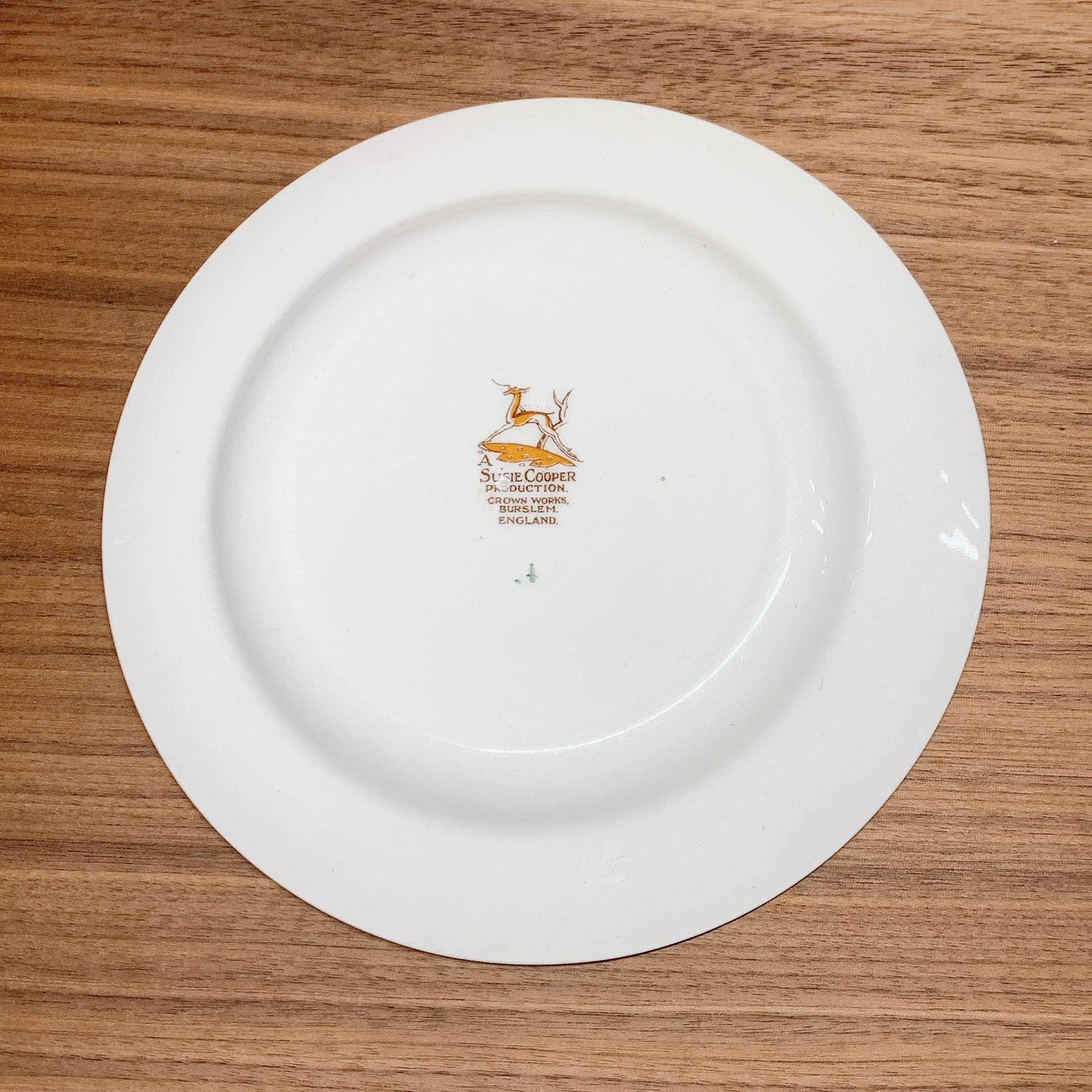 スージークーパーパロットチューリッププレート（大皿）