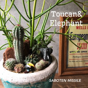 Toucan&  Elephant