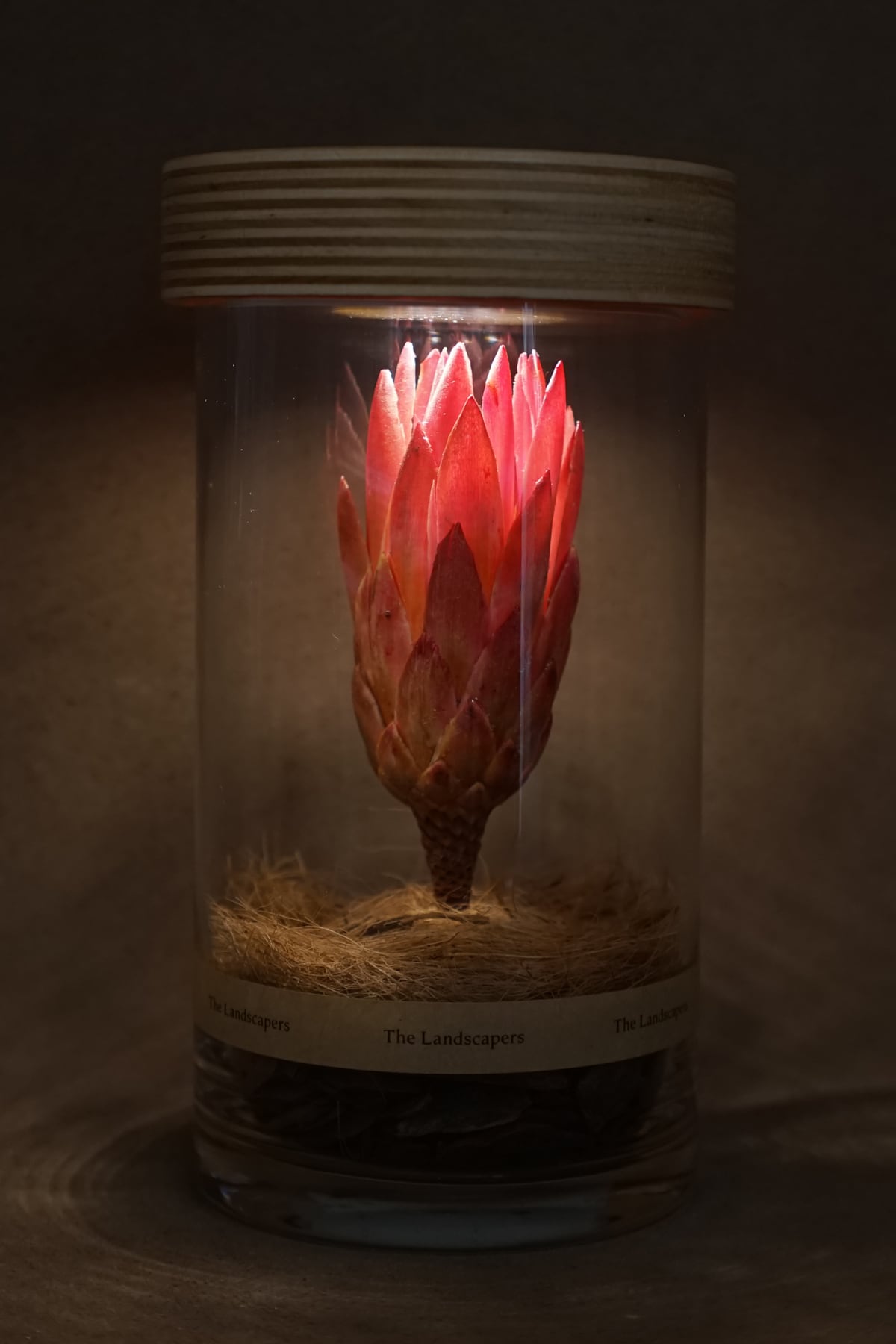 期間限定20%オフ！】LIGHTING WOOD PEDESTAL（照明木台座） | The