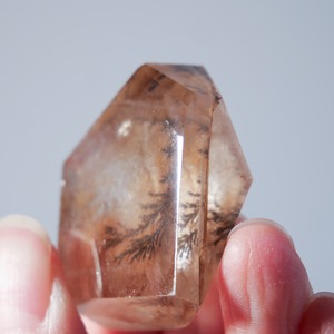 デンドリティック クォーツ ゴールデンヒーラー / フリーフォーム