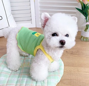 チューリップトップス