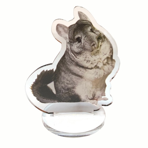 Chinchilla　アクリルクリップスタンド