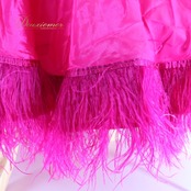 社交ダンス 衣装 The ONE ザワン スタンダードドレス ドレス ワンピース スタンダード フロート レース ファー フリル デモ 競技 ダンス パーティ 発表会 ピンク系 鮮やか 豪華 高級感 フォーマル ダンスイベント 競技会 衣装デザイン フェザー