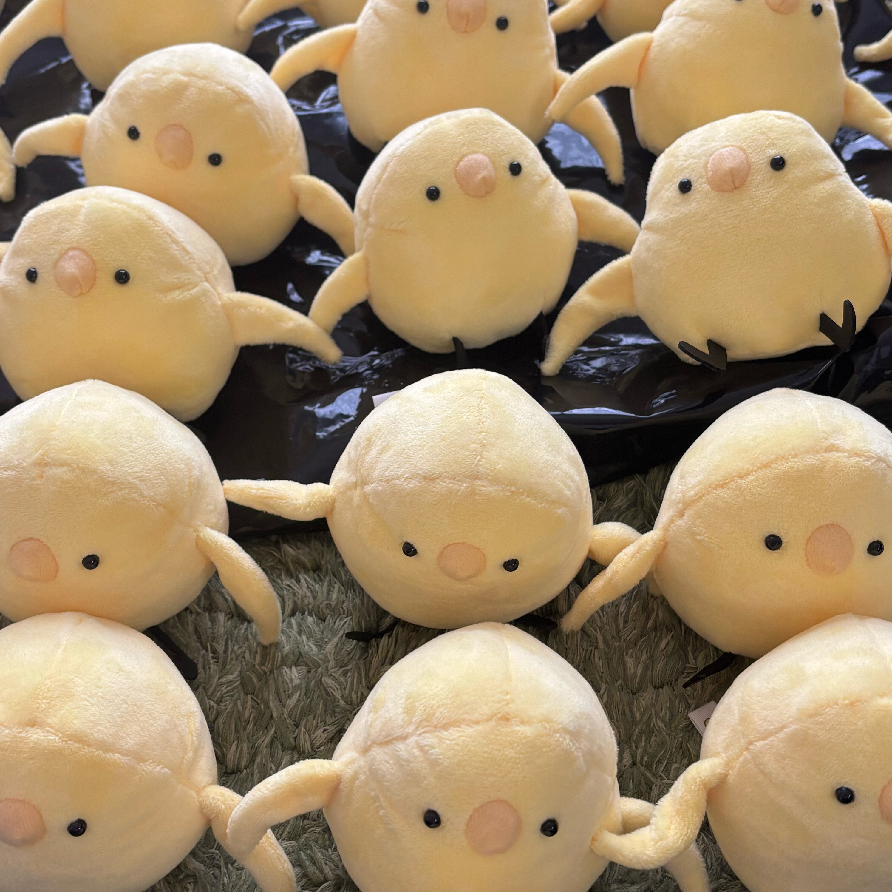 ぼんじりさんぬい