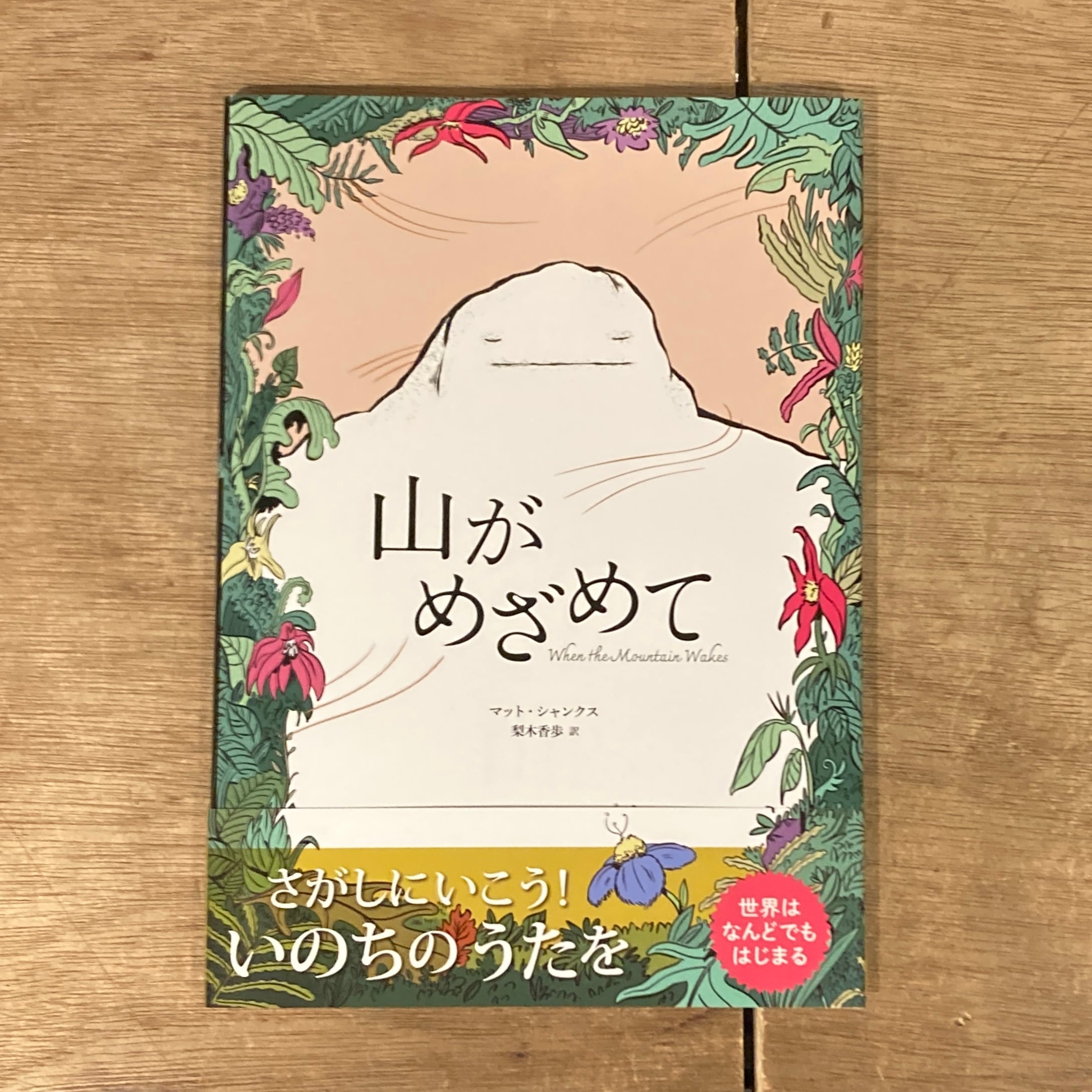 キットカットプラス kit.kat plus 0(創刊号)、他 セット / 北園克衛 | 百年