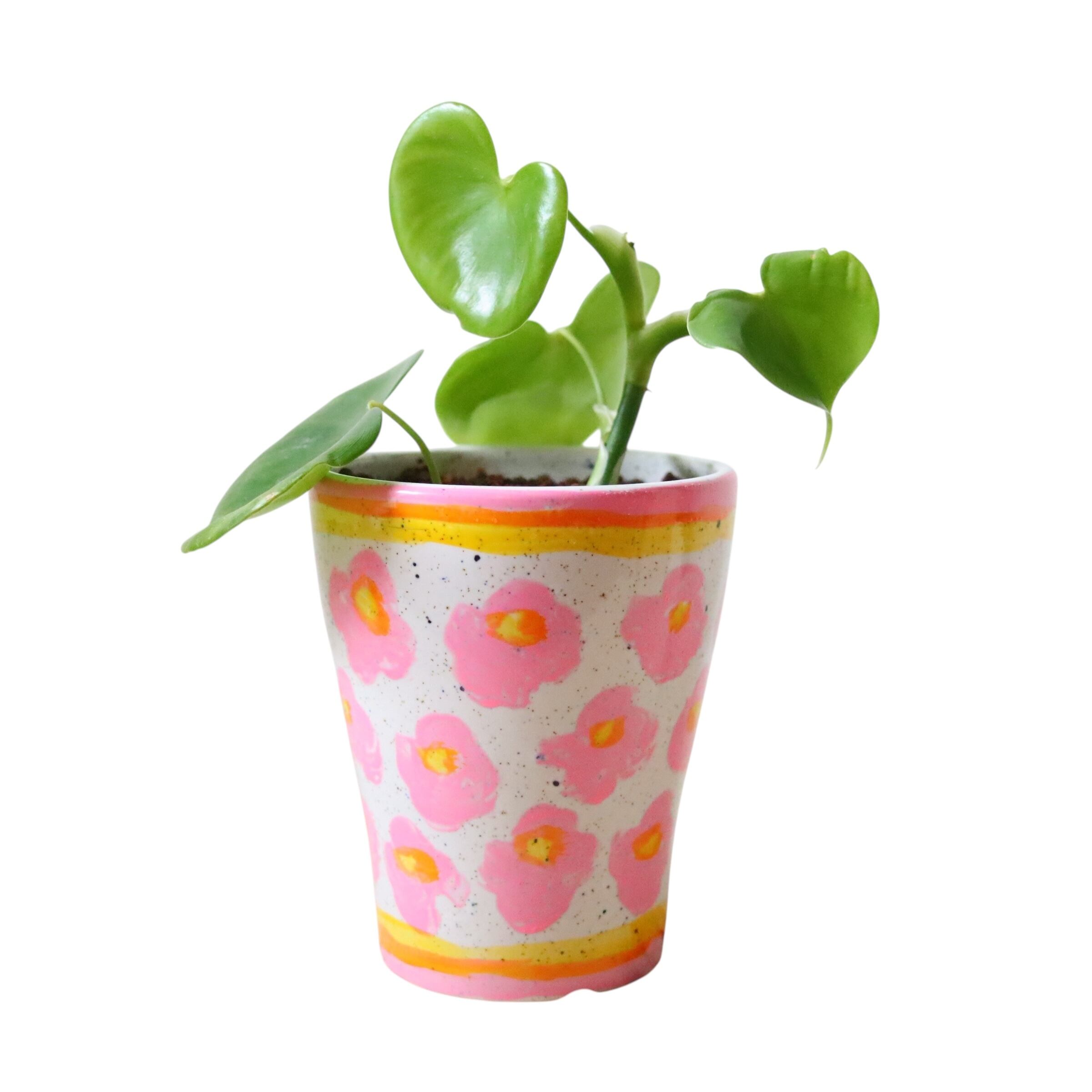 フィロデンドロン ハート