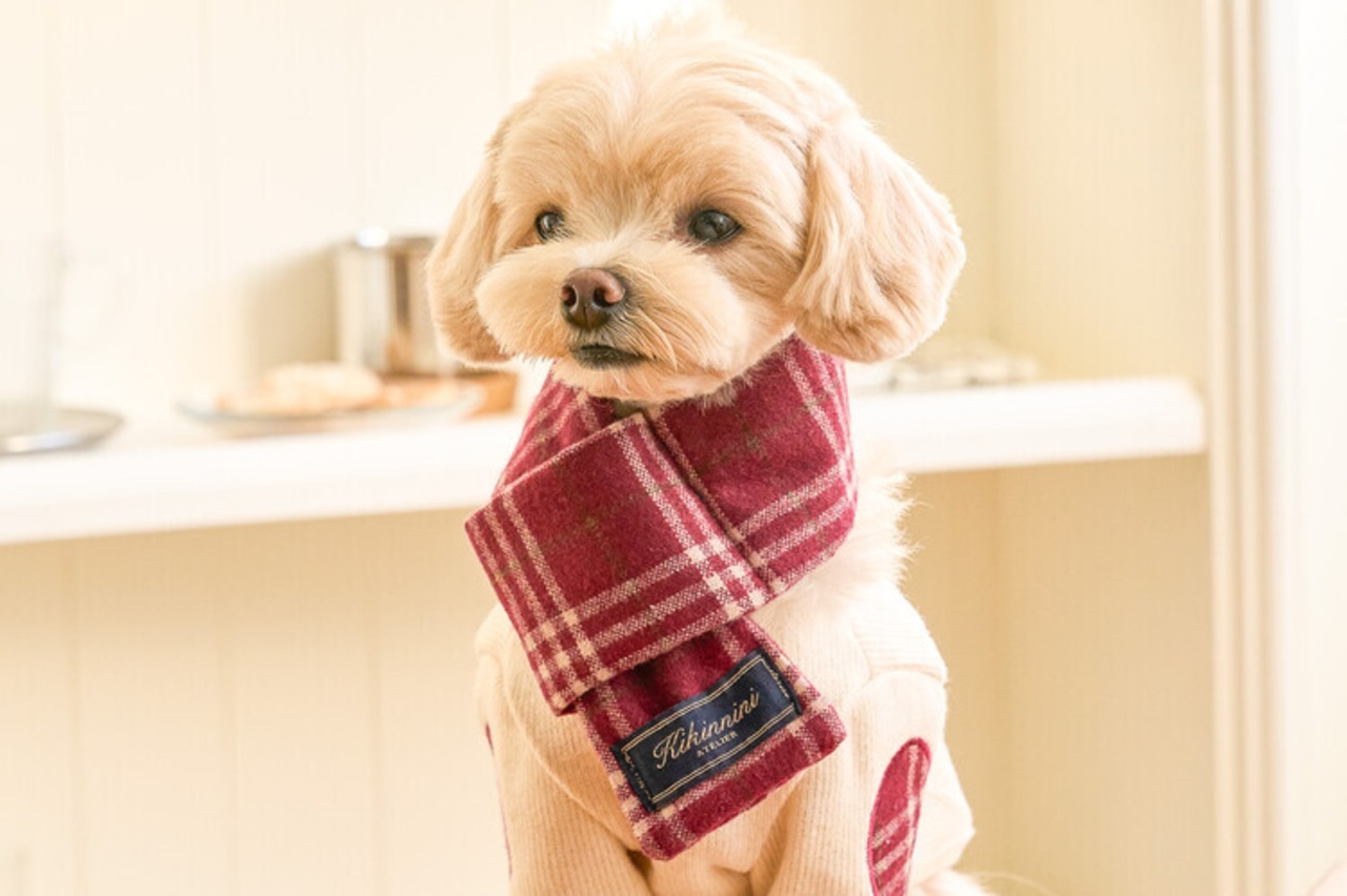 予約 【kiki&nini】wnie Classic Check Muffler (バーガンディー.ネイビー)