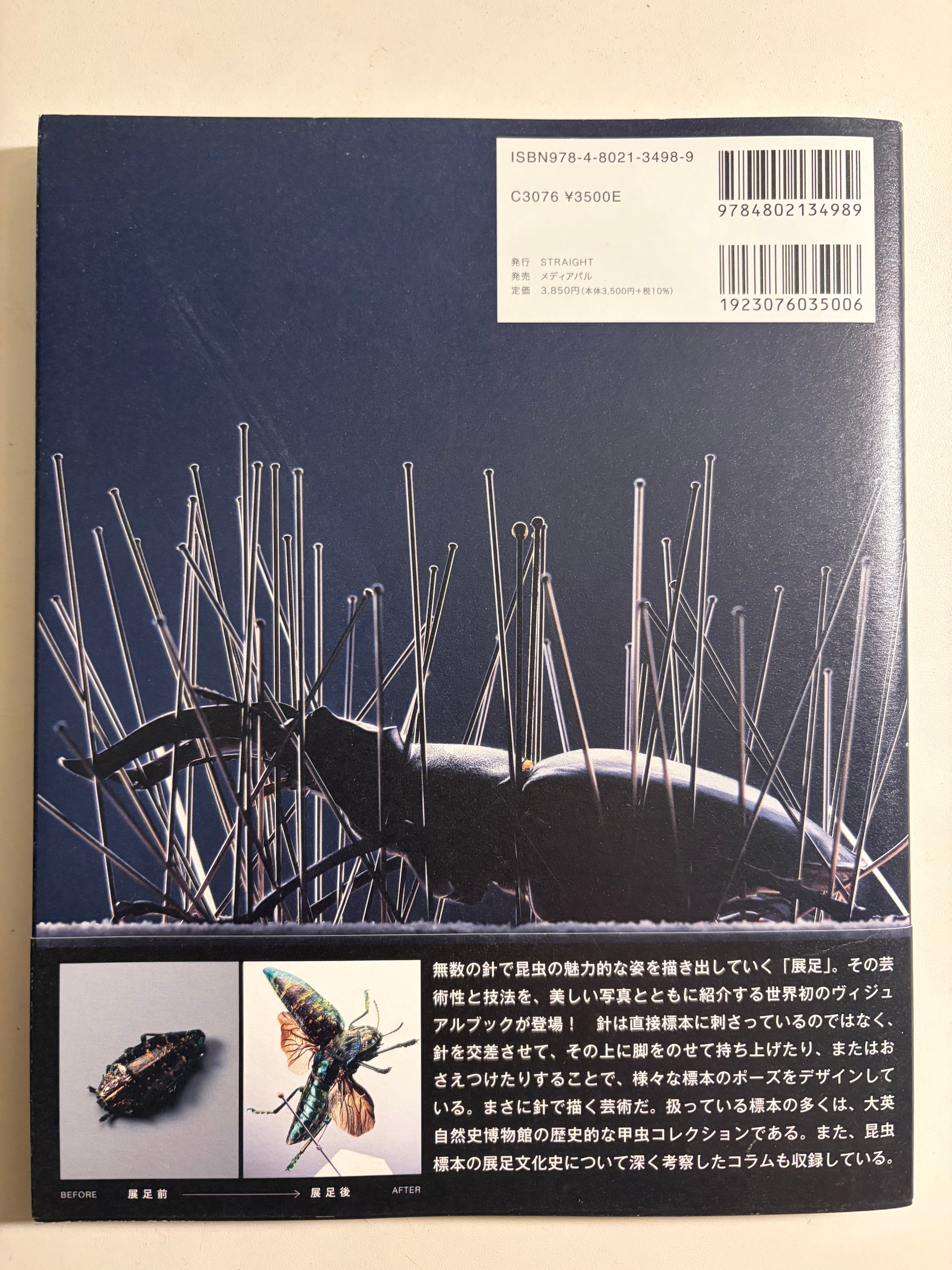 TENSOKU 昆虫展足の世界 昆虫標本作成技術 福井敬貴 クワガタ