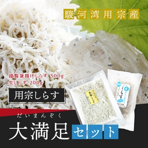 【大満足セット】釜揚げしらす500g ＆生しらす200g