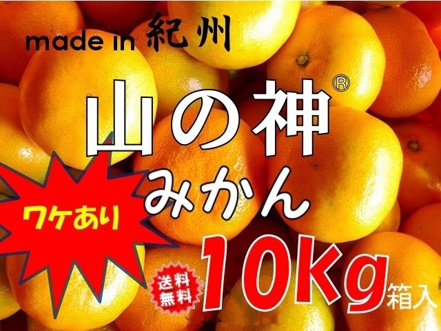 和歌山県産│【家庭用】山の神みかん　１０kg箱入