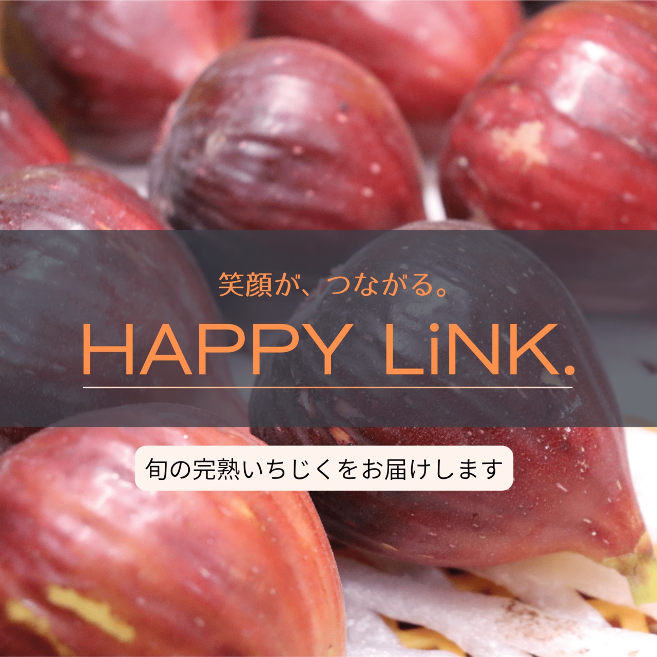 笑顔がつながるHAPPY LiNK. しあわせ無花果プラン　いちじくを2度楽しめます