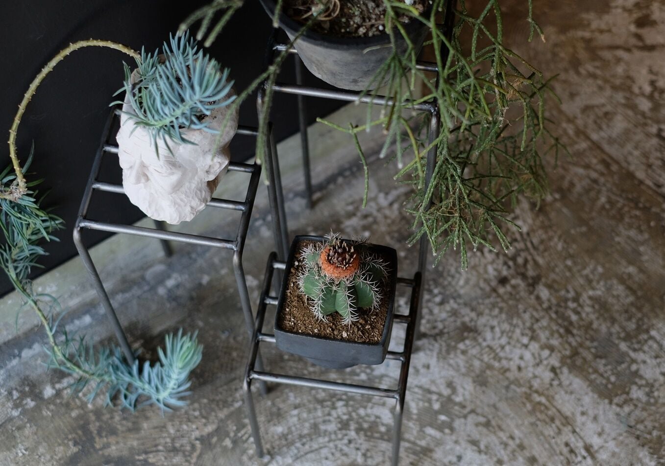 KNOP plant stands [3 pieces set] | WEST VILLAGE TOKYO