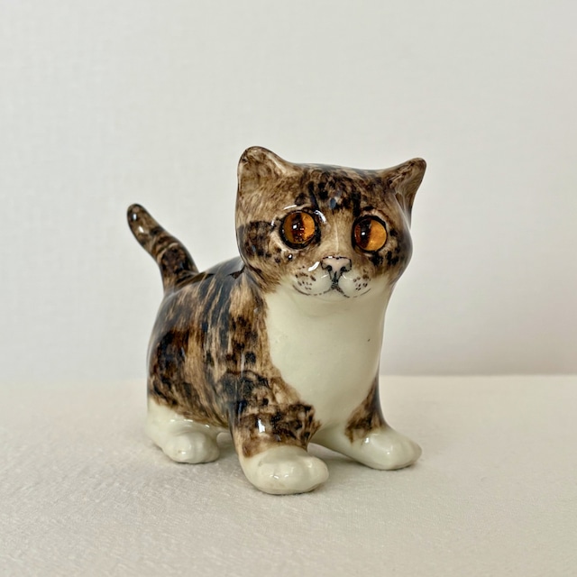 ケンジントンキャット専門店〚ウィンスタンレイキャットハウス〛