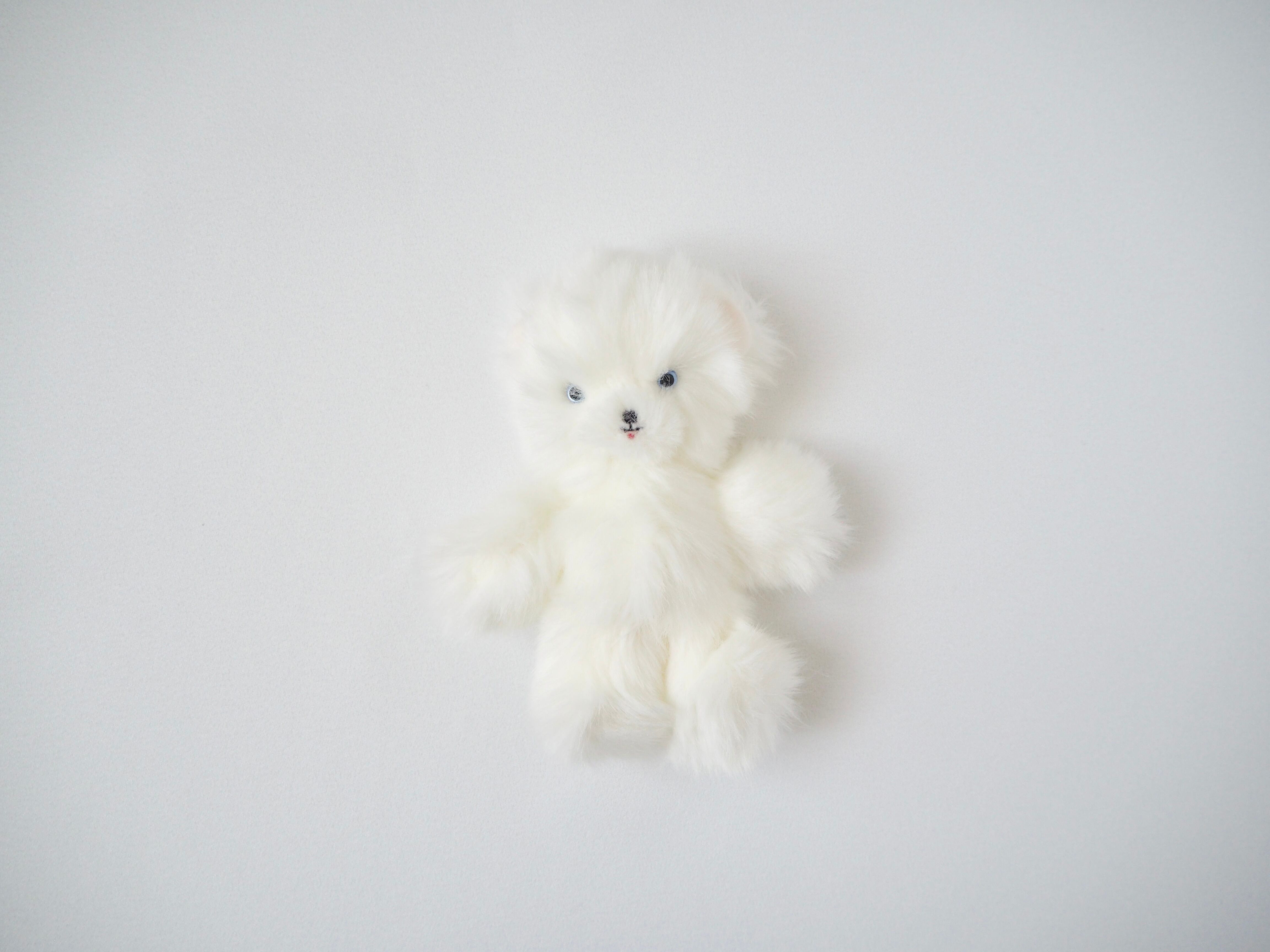 otome to okaka 犬 ぬいぐるみ　otometookaka otome to okaka 犬 ぬいぐるみ otometookaka