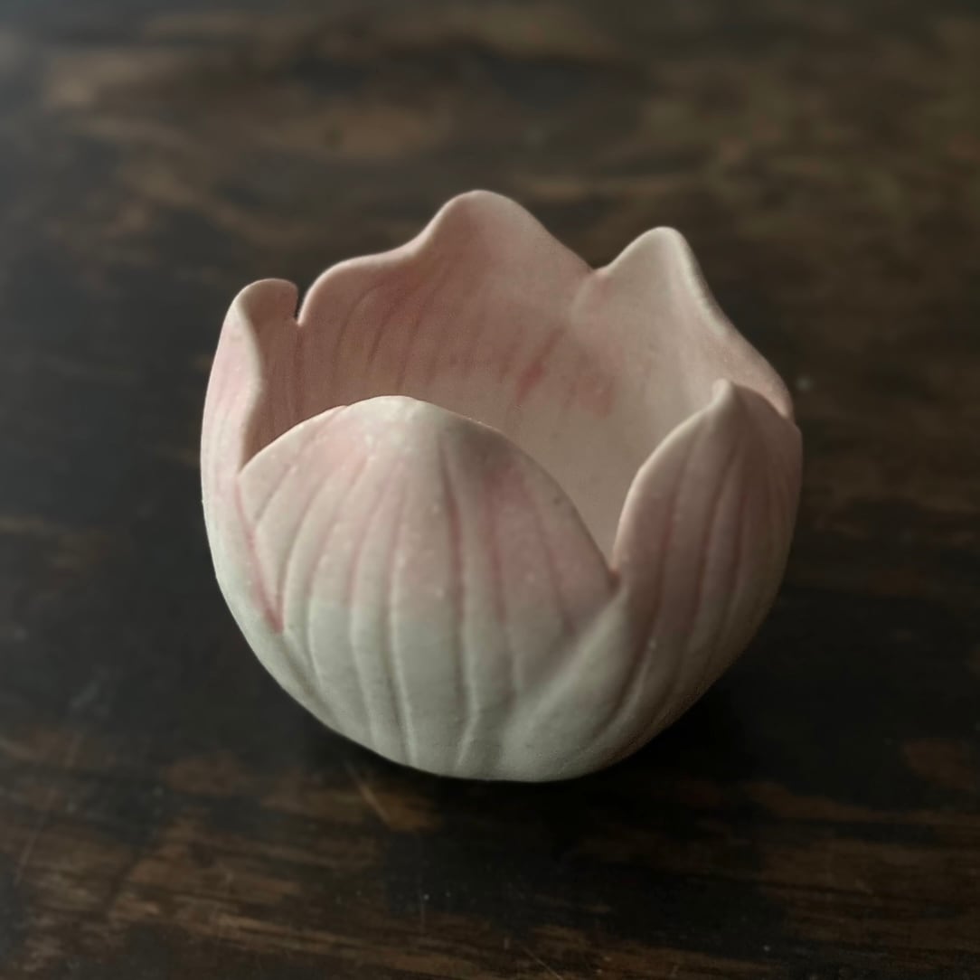 New!! 新商品 | TSUNE;田中恒子の器 オンラインストア