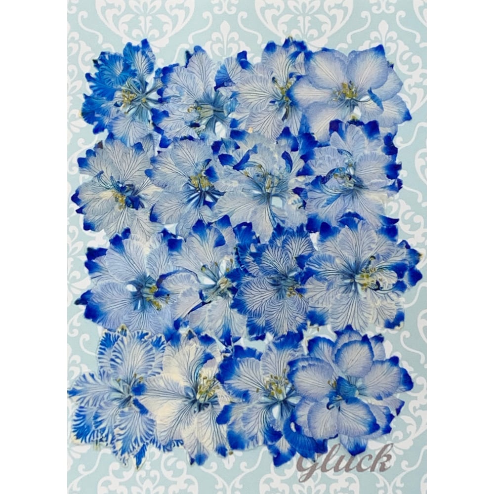 コンパクト押し花 菜の花 少量をパックにしてお届け！ 押し花素材