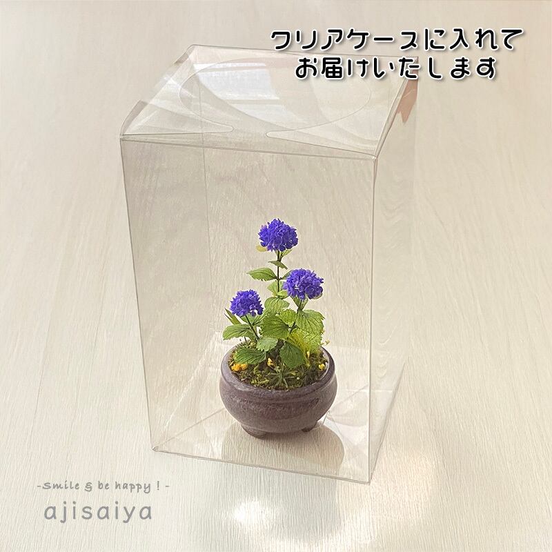 ちいさなあじさい園 【 紫陽花の箱庭 〜 三輪鉢植え仕様 〜 ディープ