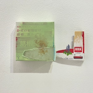 青野文昭｜《なおす・代用・合体・連鎖・地縛「薄緑欠片の補完と葛根湯の脱出」2025》