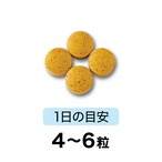プラテインVITAL お試し商品