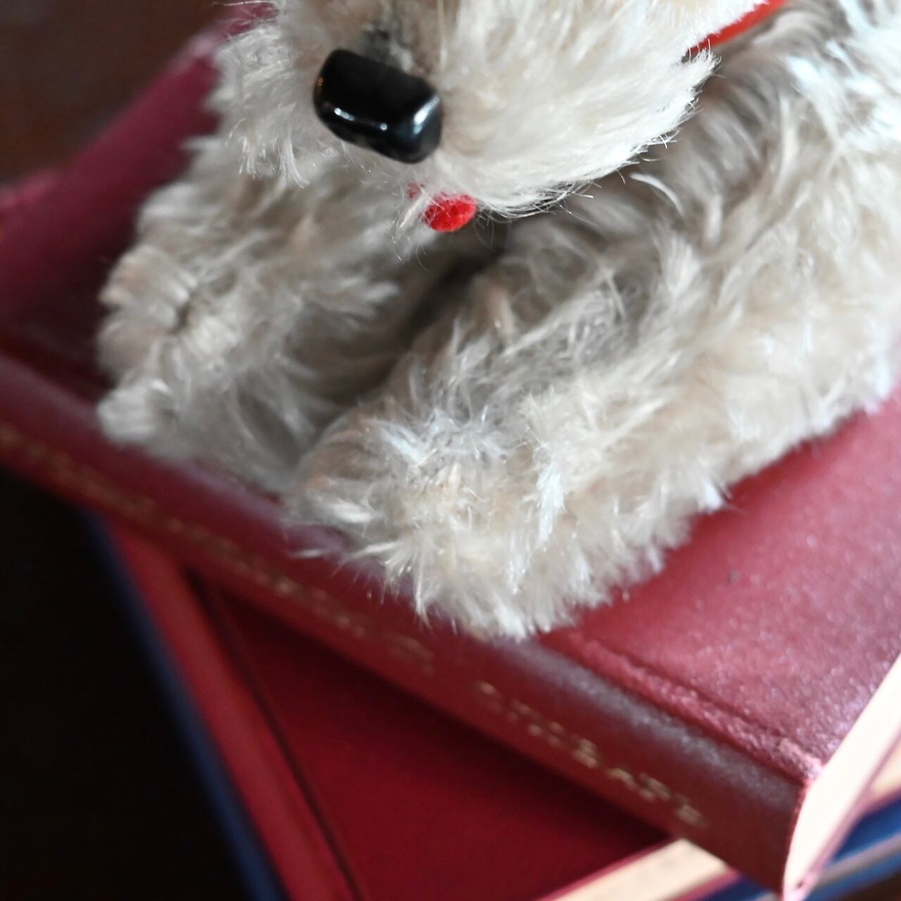 Stuffed Toy / ぬいぐるみ〈 犬・プードル・オブジェ・ディスプレイ