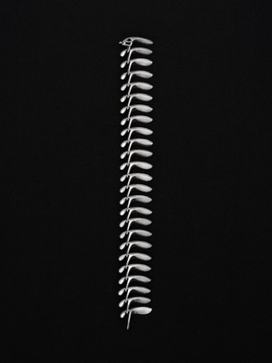 Sycamore Bracelet