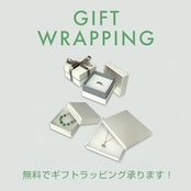 遊び心をくすぐるコスチュームアクセサリー！ アップル珊瑚キューブ オニキス ネックレス ne1099