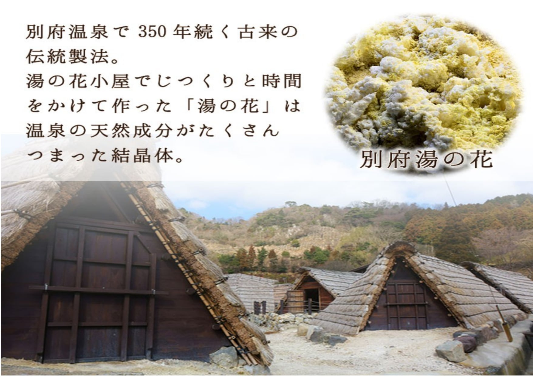 2.2kgx３袋ヤングビーナス 別府の湯 お徳用 大袋サイズ 詰め替え用 2.2kgx3袋 別府温泉湯の花エキス配合の入浴剤(4963183 入浴剤 ヤングビーナス 別府の湯 B-30 2.2kg 詰め替え用 別府温泉