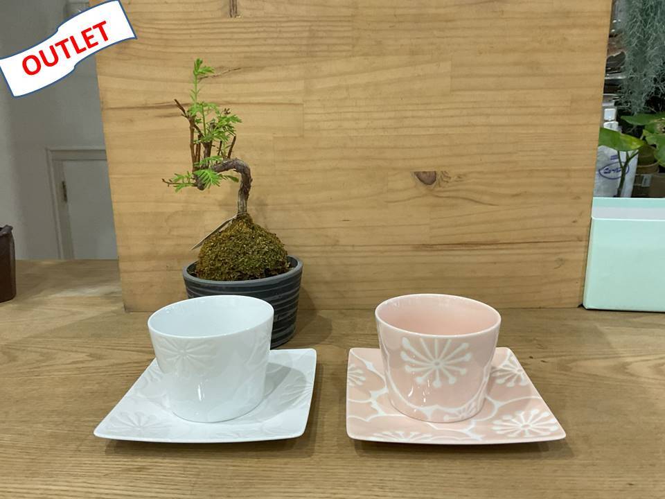 趣味の園芸と陶器山竹
