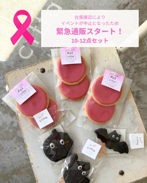 Pink Ribbon【おやつSET】10〜12点入り