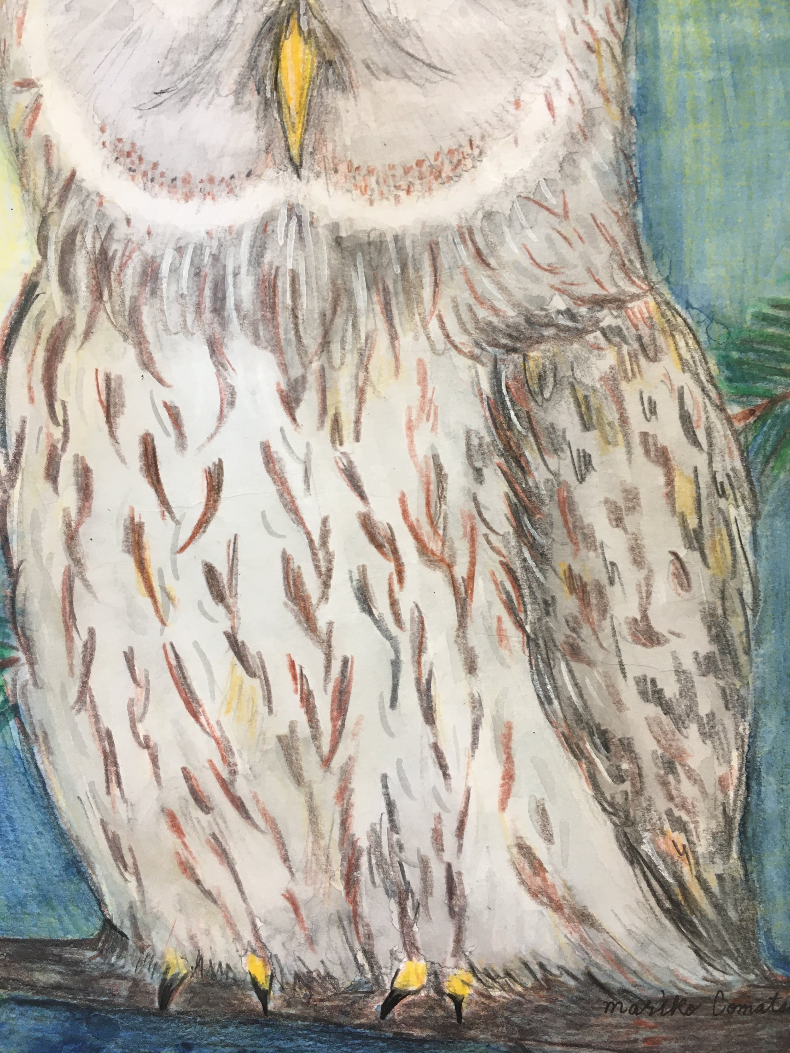 原画 梟 福来たる #179 ※額装付き 福来朗(フクロウ)「大きな夢が」 手描き作品 額付 絵画 水墨画 | 和味