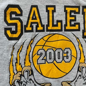 【JERZEES】バスケットボール 2003年 ロゴ プリント Tシャツ SALEM LIONS L US古着