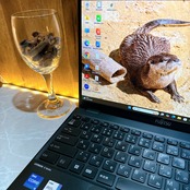 LTEモデル/LIFEBOOKU9310/準美品/メモリ8GB/超軽量/SSD256GB/第12世代/人気ノートパソコン