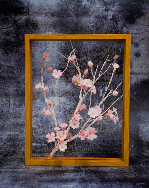 【額縁アート】Blossom Flower