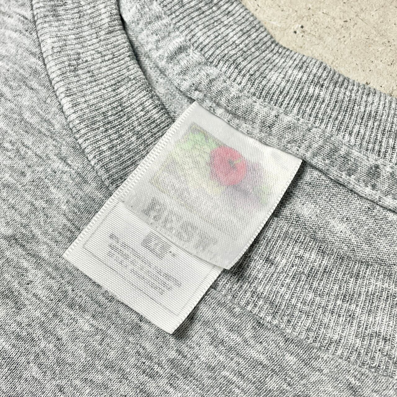 00年代 JUNE BUG JOG アート イベント プリントTシャツ メンズXL 古着 00s ビンテージ ヴィンテージ 虫 霜降り グレー