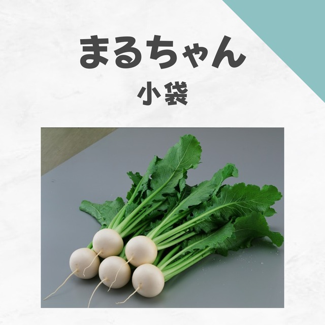 まるちゃん　カブ種子・小袋