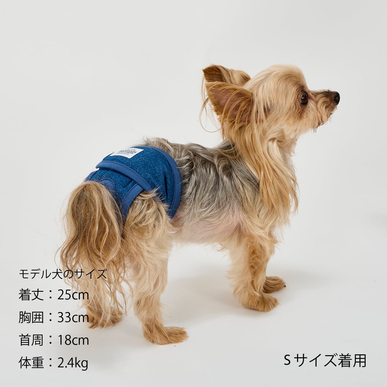 MANNER PANTS（S.M.L）マナーパンツ | MANDARINE BROTHERS マンダリン