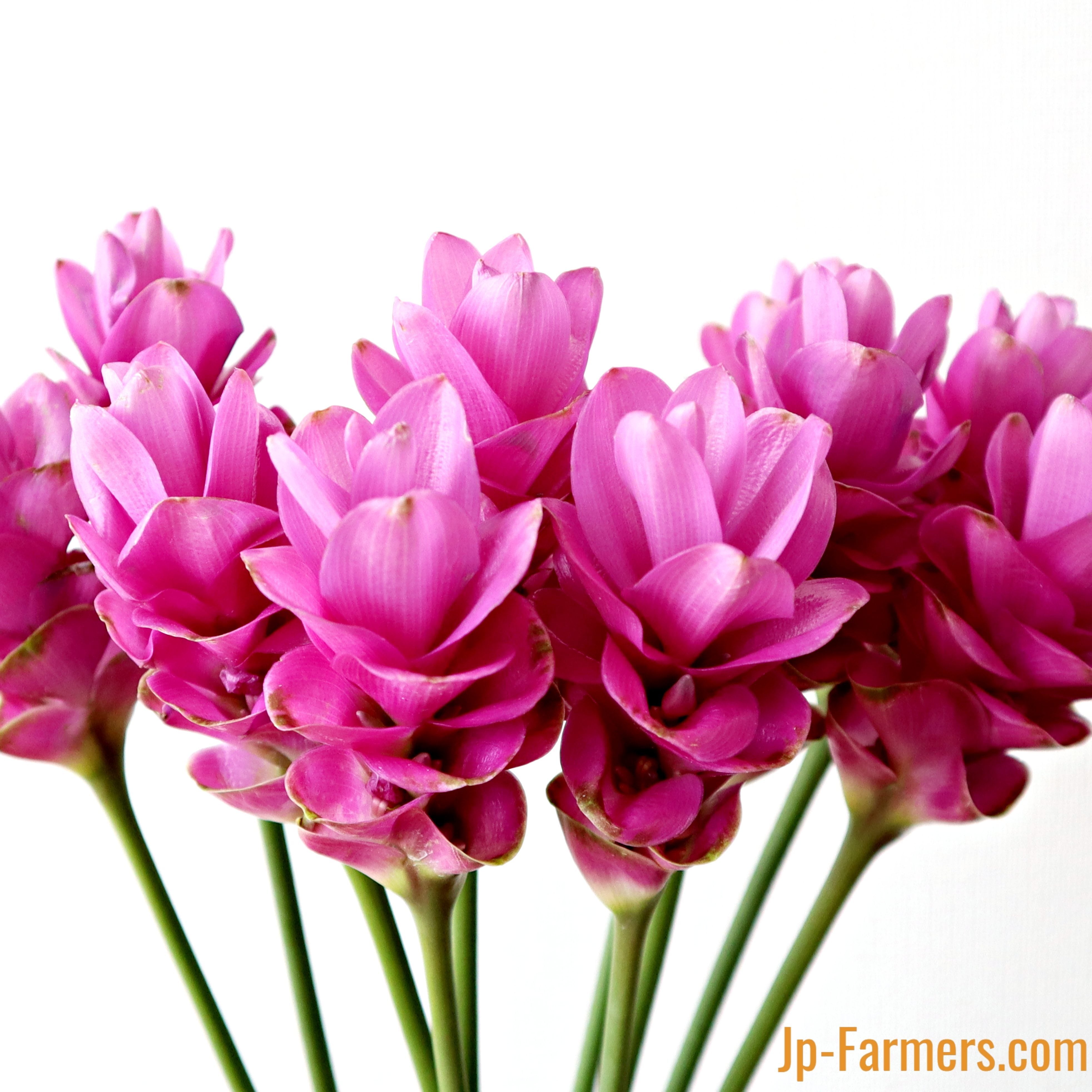 f1fb6892fe832a88d94c70d4e1d108