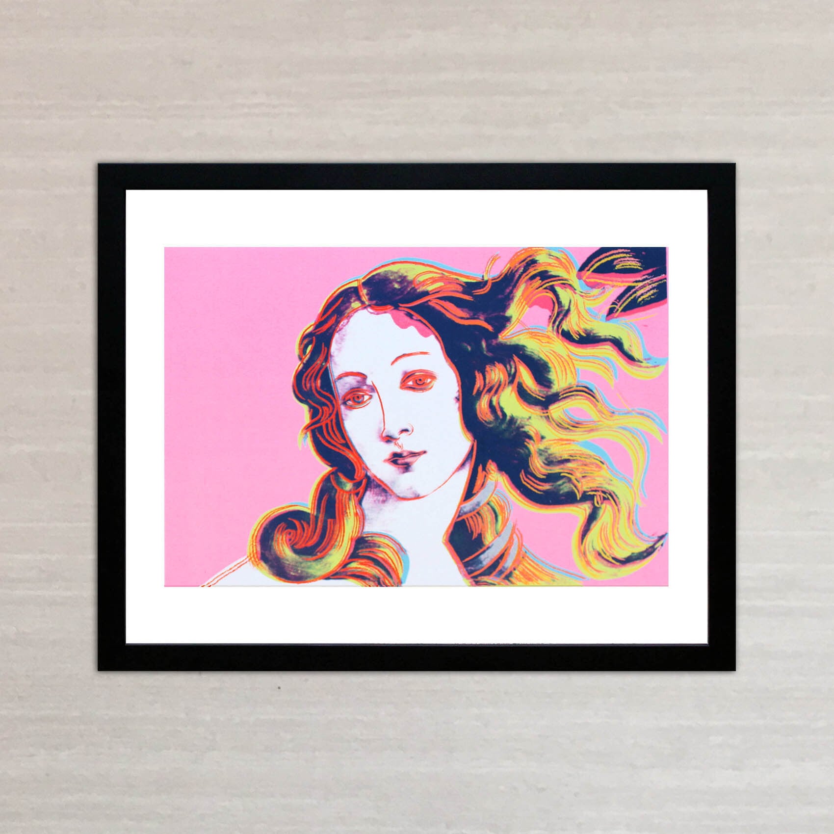 アンディ ウォーホル 絵画「ヴィーナスの誕生(ピンク) ,1984」展示用フック付ポスター ポップアート Andy Warhol