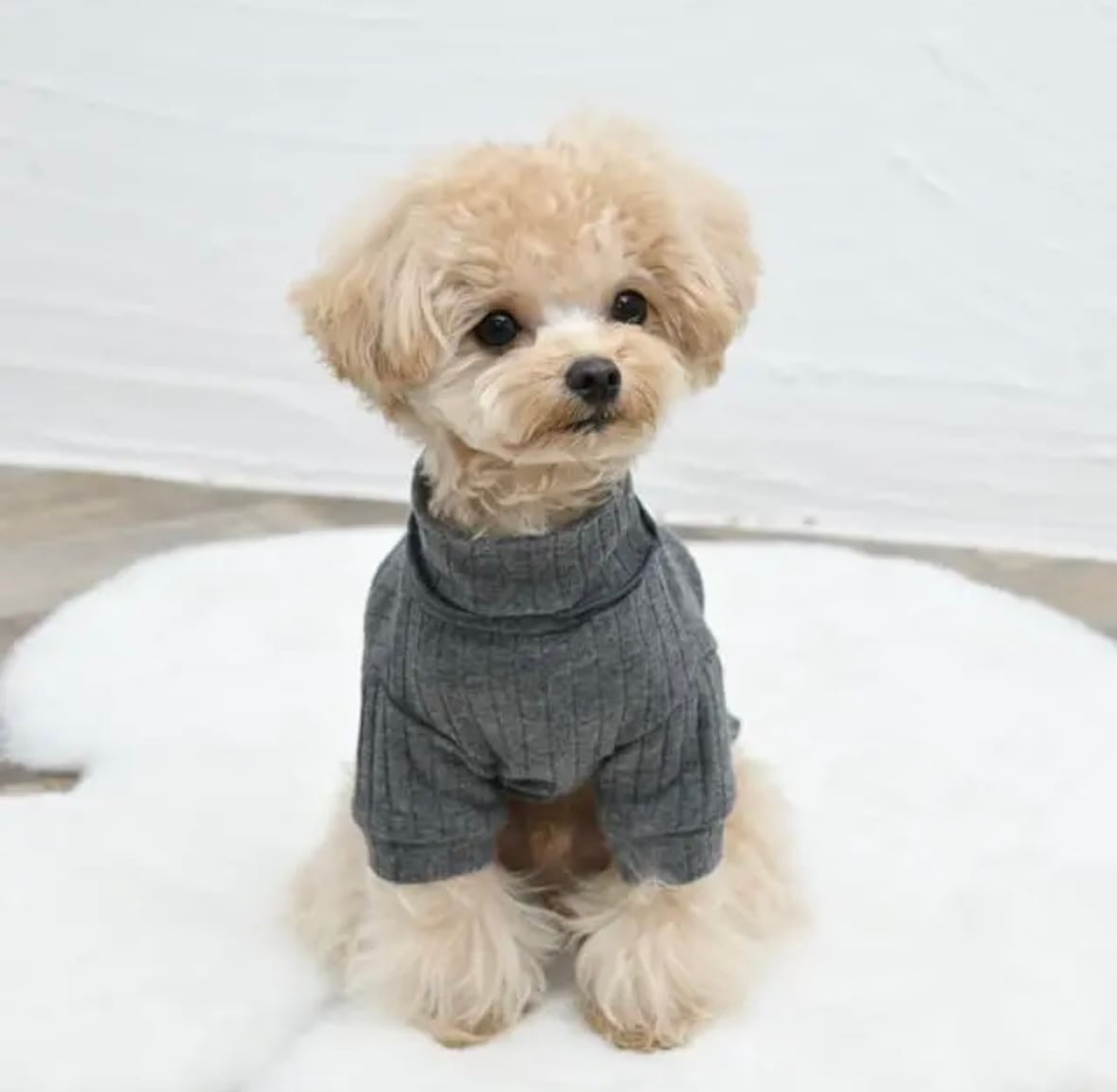 再販♡ ハンドメイド　ワッシャー加工シンプルバックリボンワンピース　犬服 再販♡ ハンドメイド ワッシャー加工シンプルバックリボンワンピース