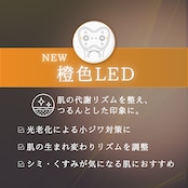 雪音企画共同開発 ゼルV2