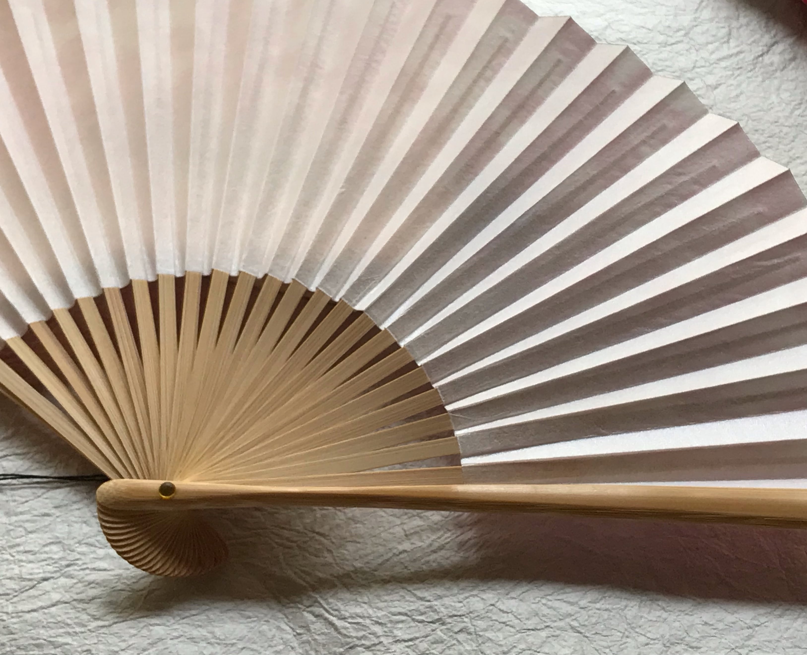 京都黒谷和紙 扇子 雪花絞り 女性用 (緑） | 黒谷和紙（公式通販サイト）