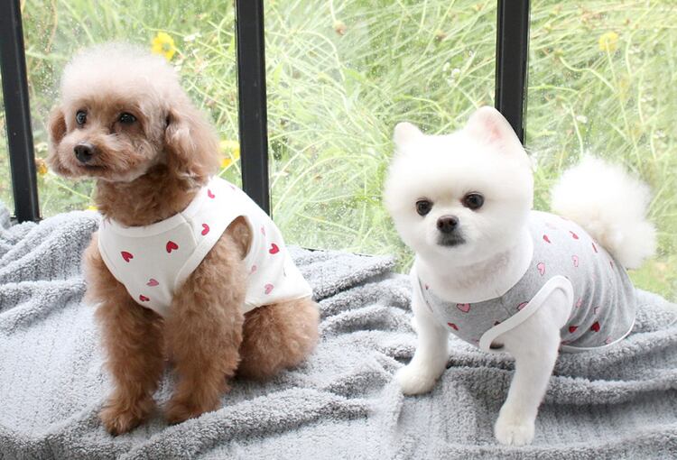 ラブリータンクトップ S ~ XL 3color / 犬服 春夏 新作 可愛い 犬の服 ドッグウェア コットン100% 猫 ペット top87